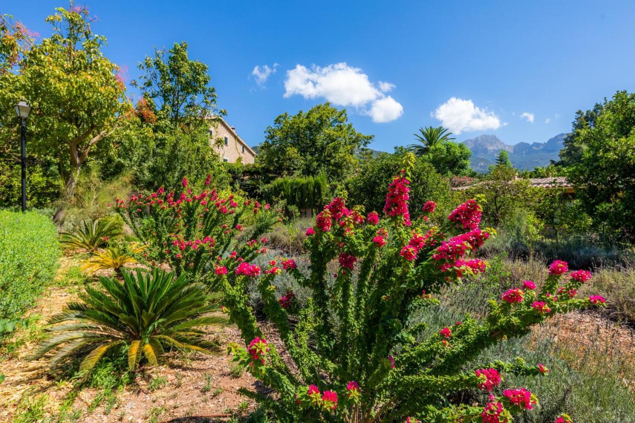 Finca Ca'S Curial - Agroturismo - Adults Only Sóller Kültér fotó
