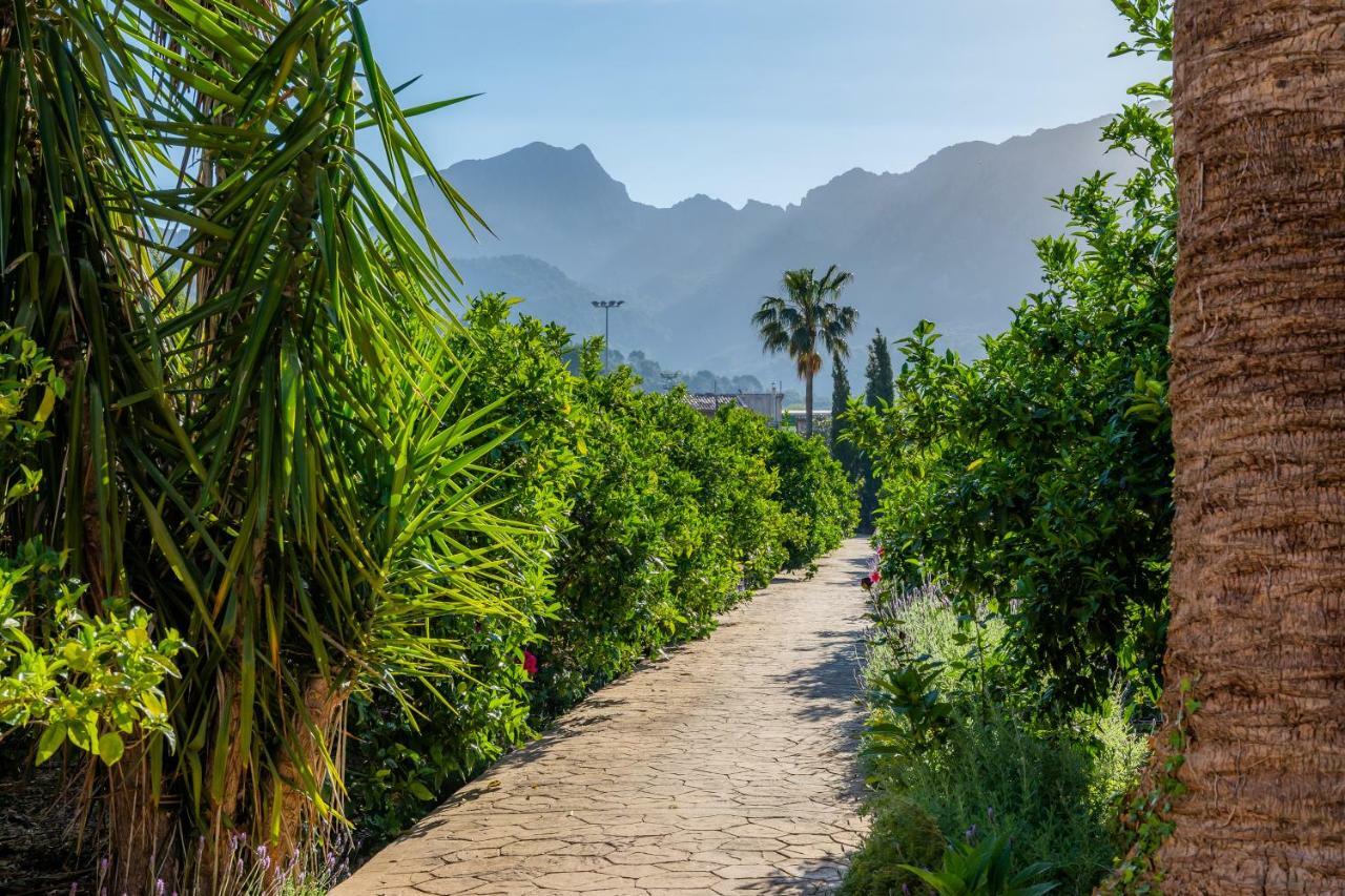 Finca Ca'S Curial - Agroturismo - Adults Only Sóller Kültér fotó