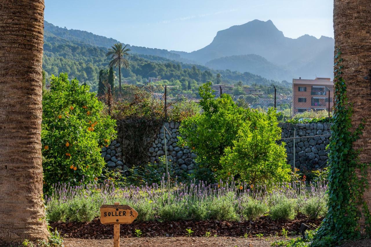 Finca Ca'S Curial - Agroturismo - Adults Only Sóller Kültér fotó